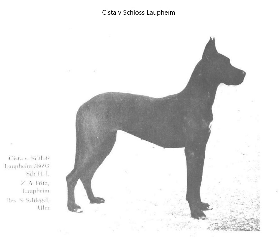 Cista v Schloss Laupheim